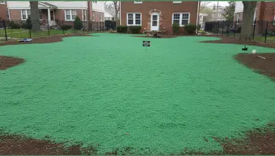Freshly hydroseeded lawn in Chicago IL showing even green slurry coverage by Chop Chop Landscaping